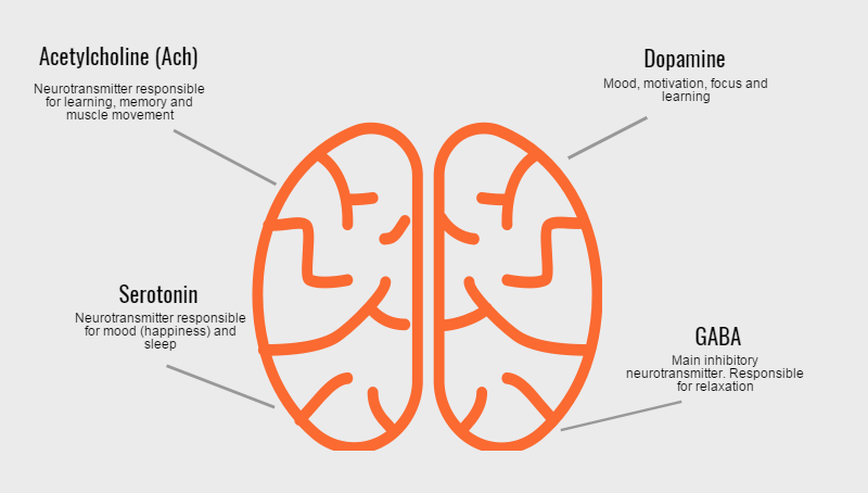 Neurotransmitter definition