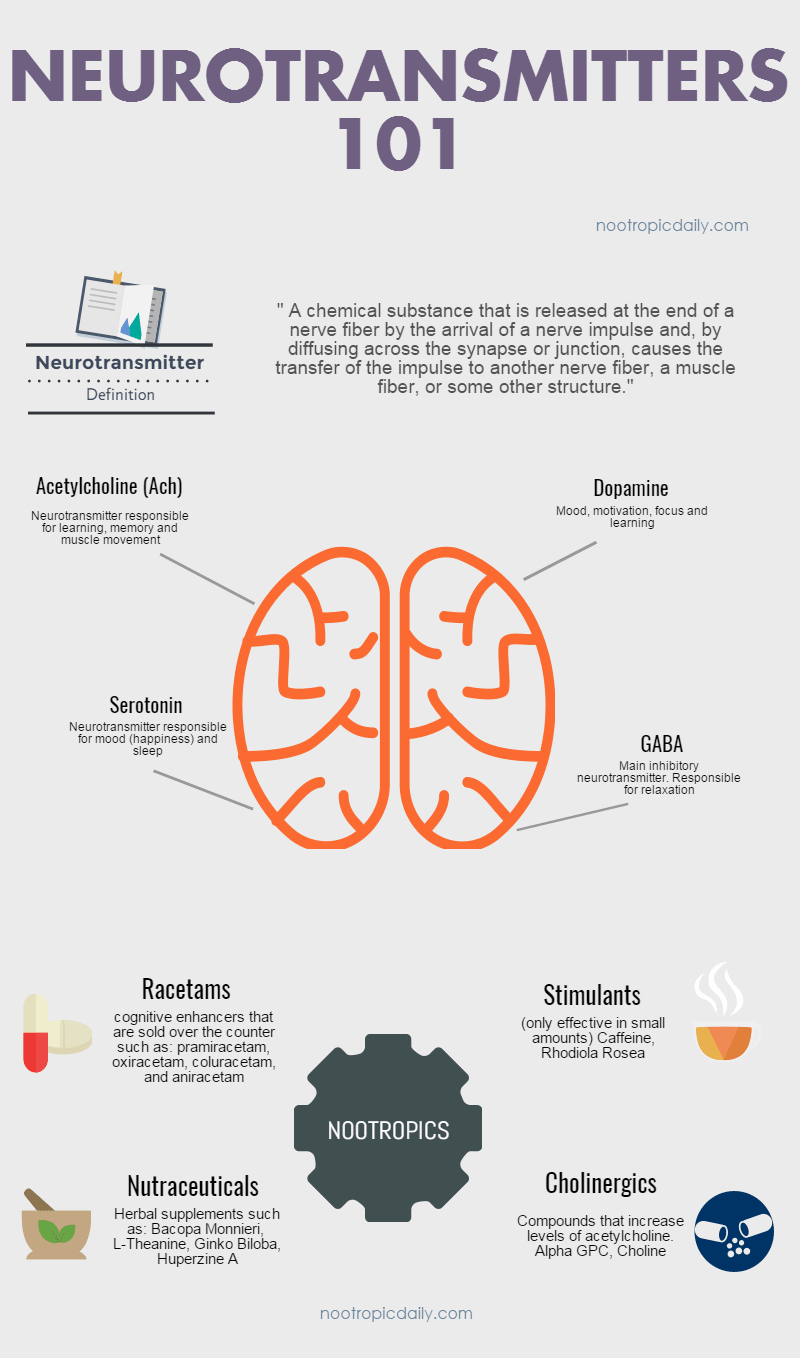 Infographic Guide to Understanding Neurotransmitters Nootropic Daily